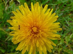 how to relief stress